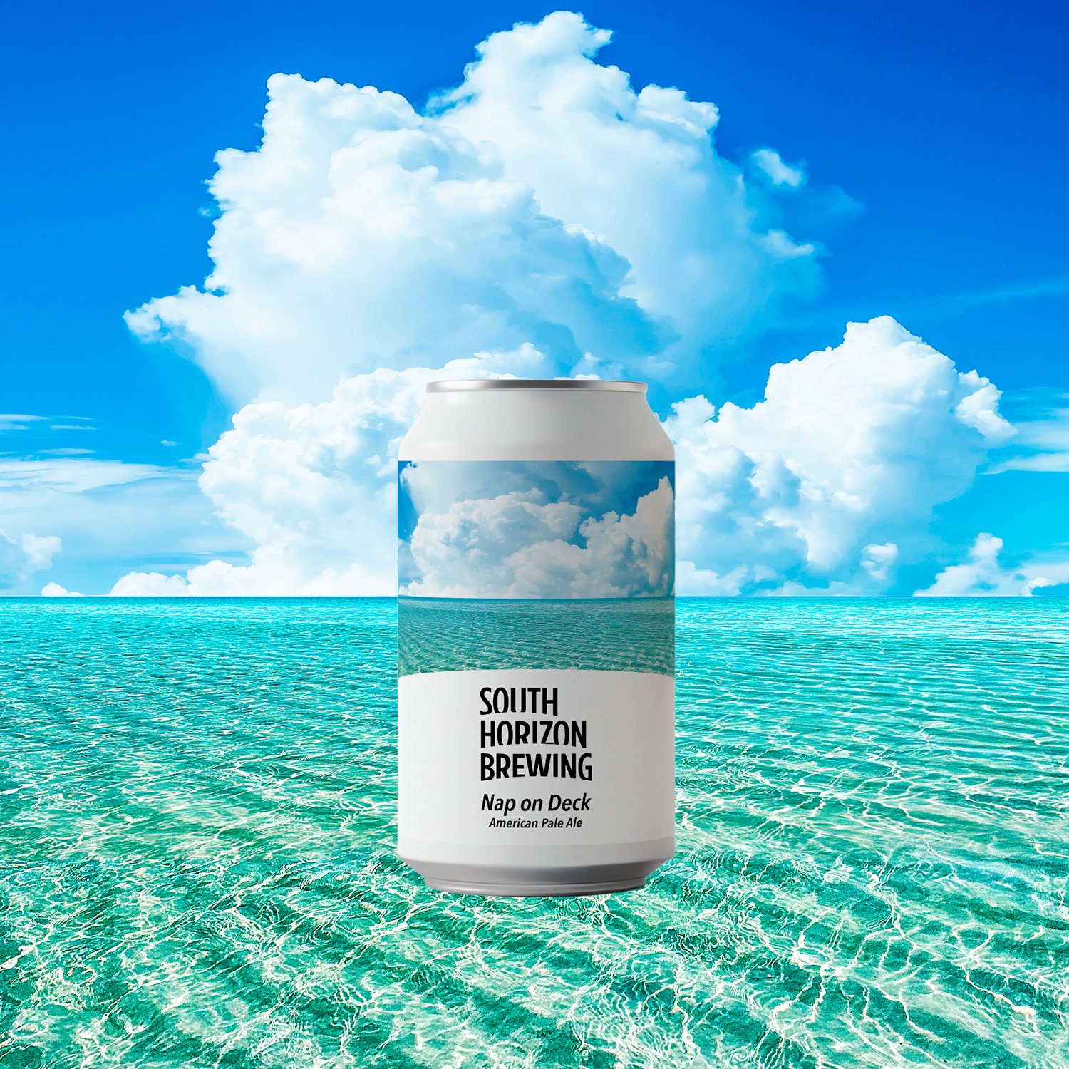 クラフトビール定番6種飲み比べパック – SOUTH HORIZON BREWING